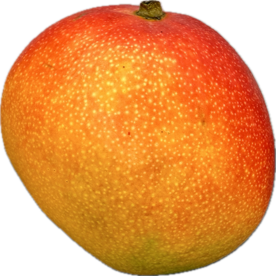 Mango RTE lotnicze