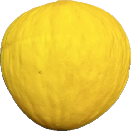 Melon żółty sztuka