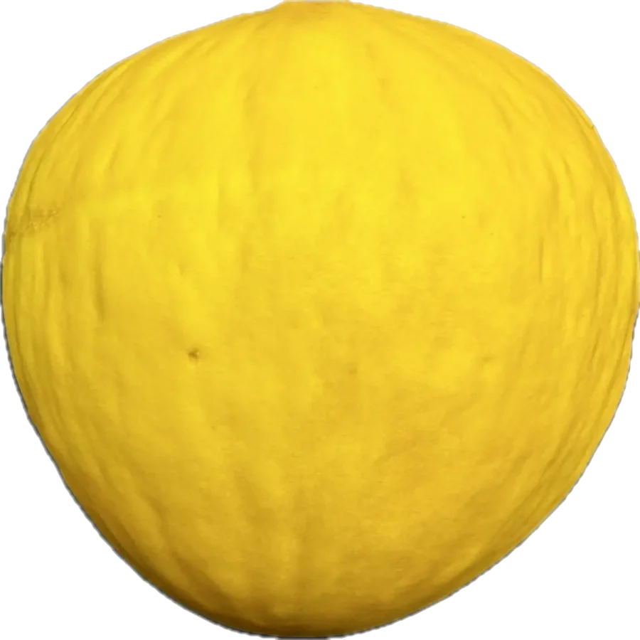 Melon żółty
