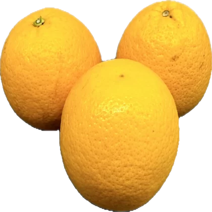 Pomarańcza soczysta kilogram