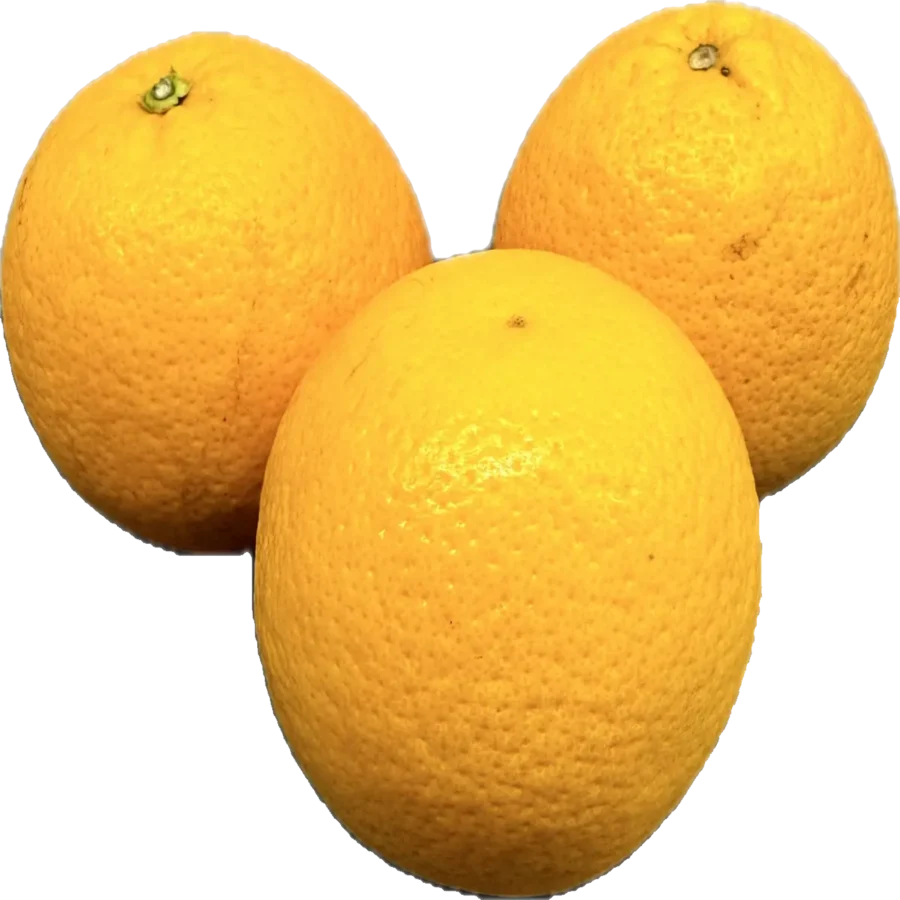 Pomarańcza soczysta