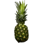 ananas sztuka