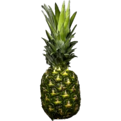 ananas sztuka