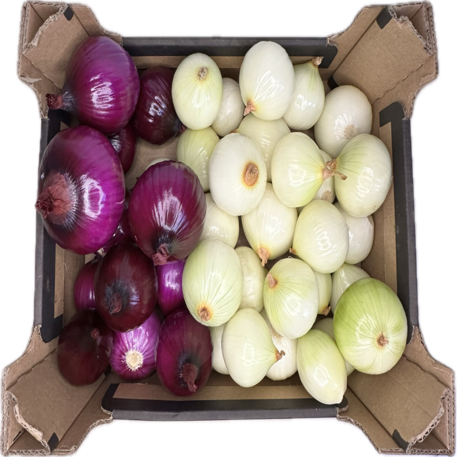Cebula obrana mix
