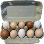Jajka wolny wybieg wytłaczanka 10 sztuk