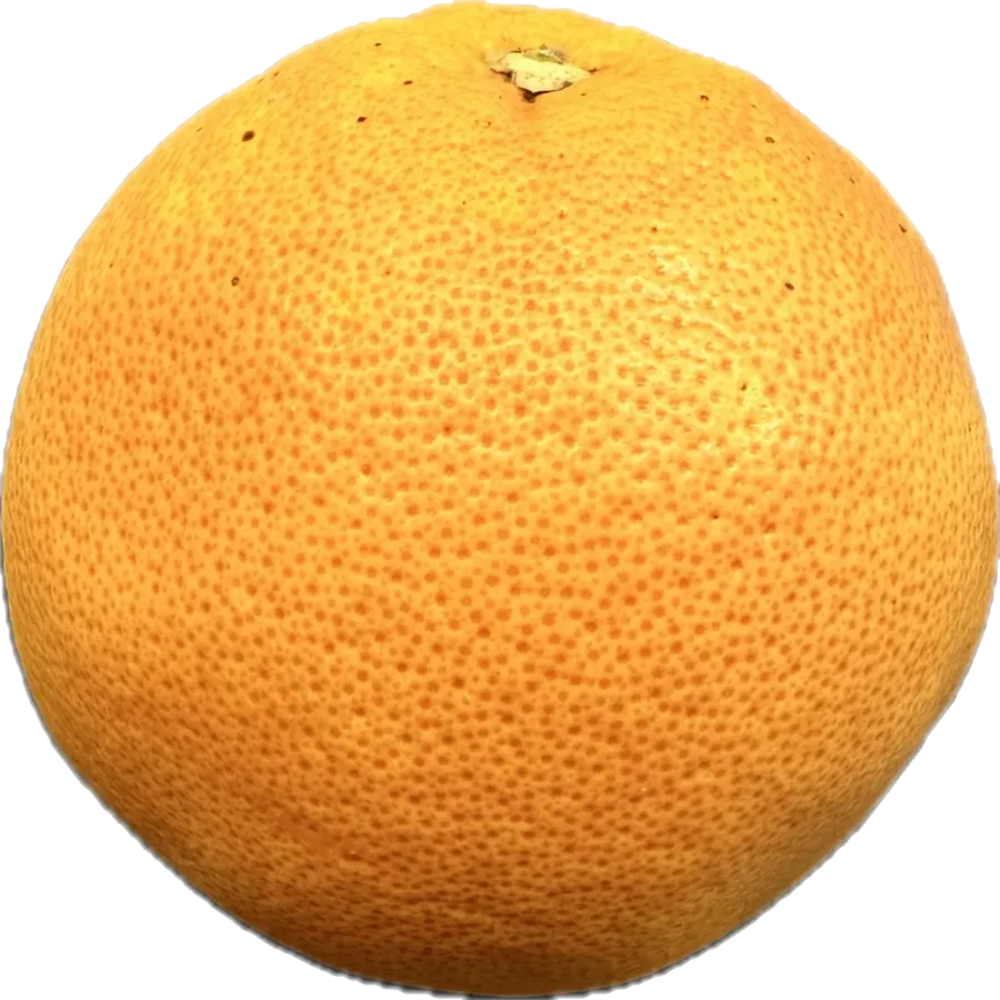 Grapefruit czerwony