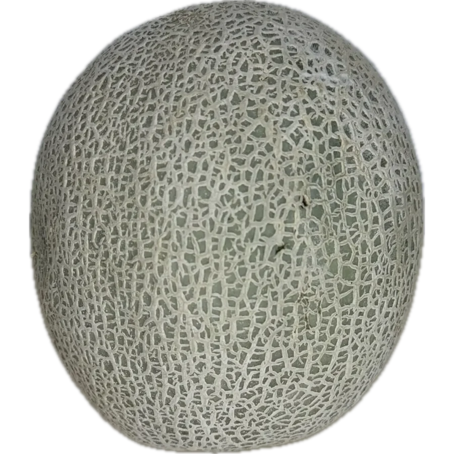 Melon Cuantalopue