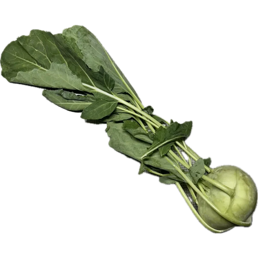 Kalarepa
