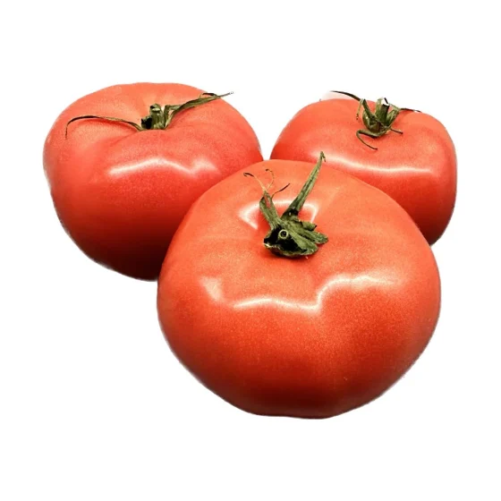 Pomidor malinowy