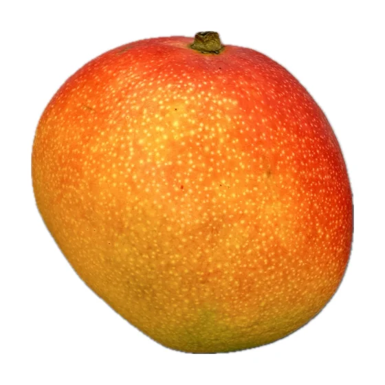 Mango RTE lotnicze
