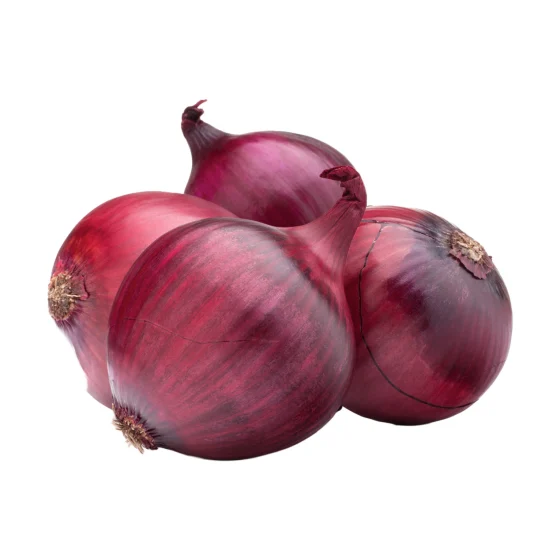 Cebula czerwona