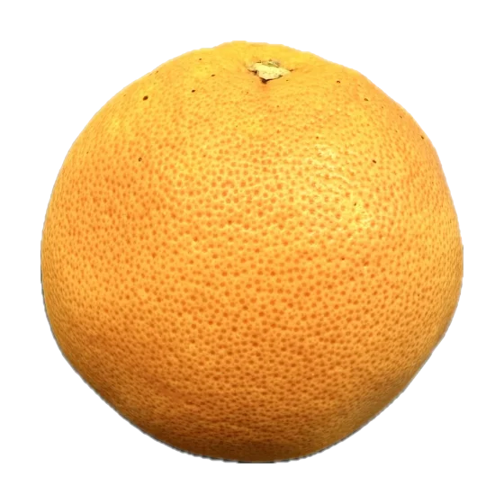 Grapefruit czerwony