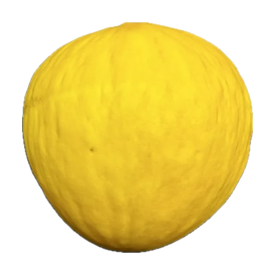 Melon żółty