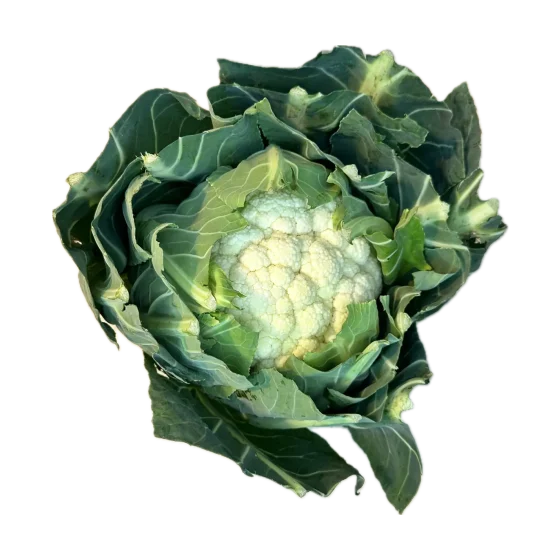 Kalafior